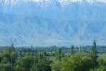 IMG_1338