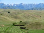 IMG_1362