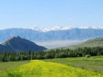 IMG_1380