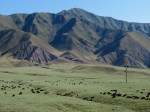 IMG_1431
