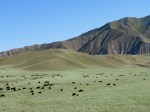 IMG_1432