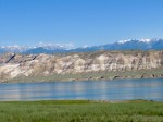 IMG_1480