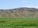 IMG_1606