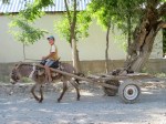 IMG_1788
