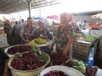 IMG_1907