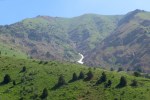 IMG_2052 (1)