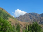 IMG_2054