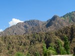IMG_2056